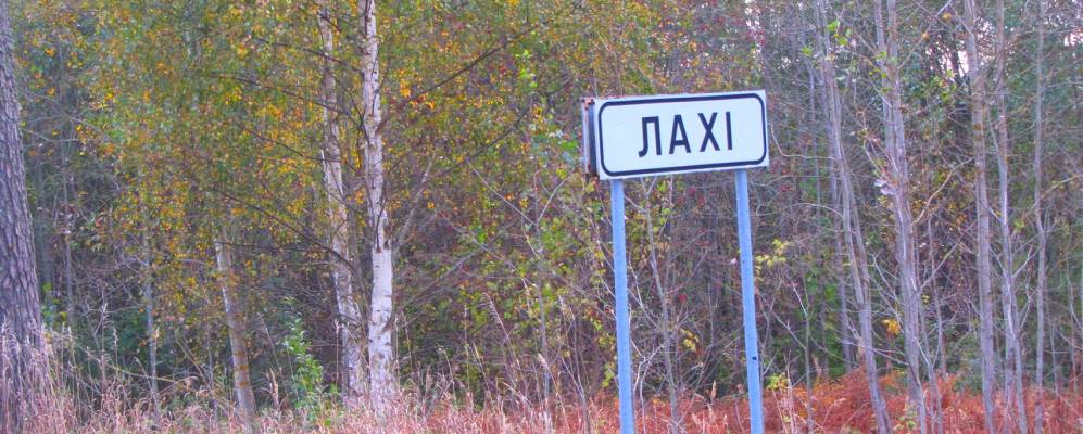 Фотография Лопаухей