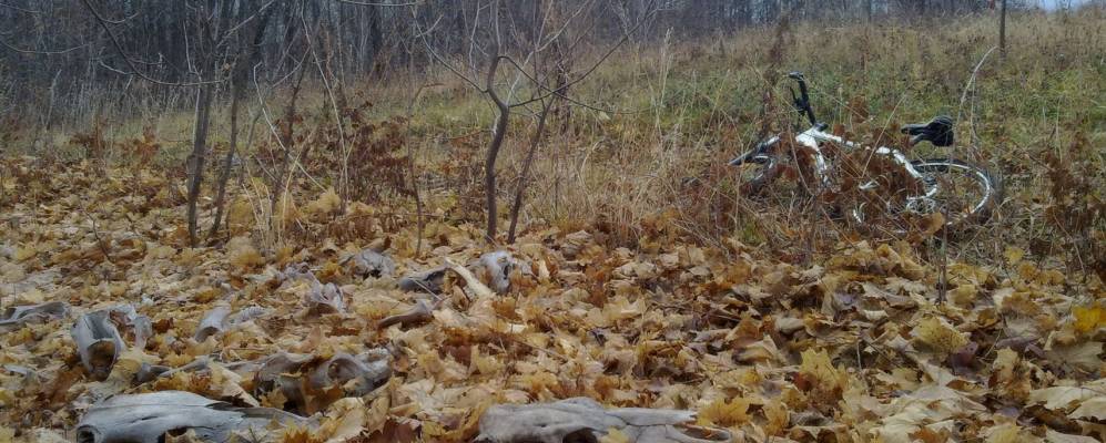 
            Фотография Вотикеево