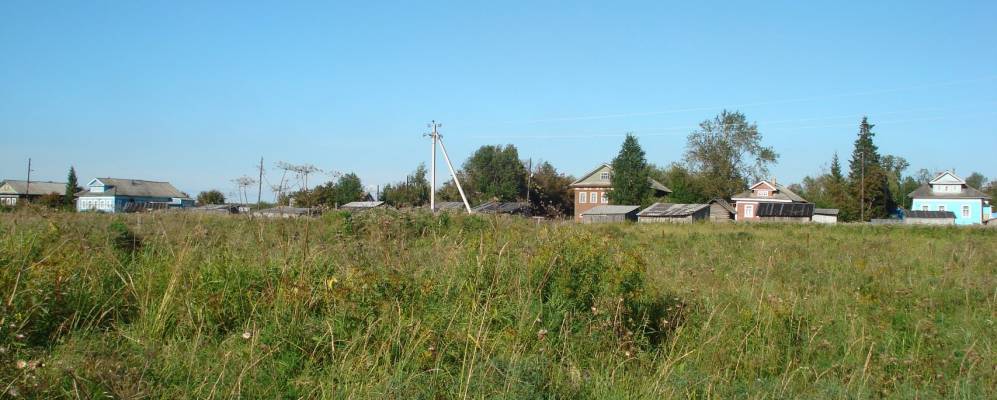 Фотография Олешника