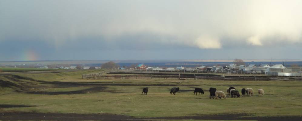 Фотография Чепкас-Ильметьево