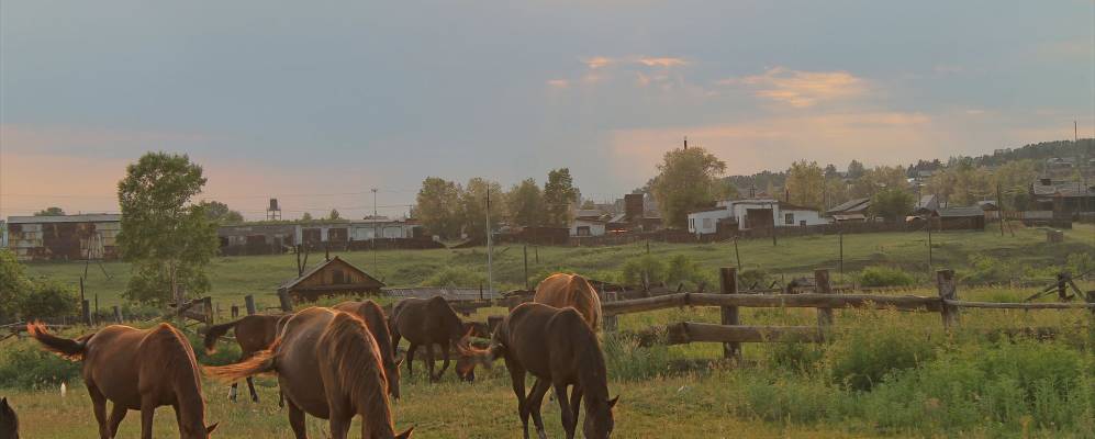 
            Фотография Олонок