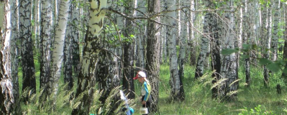 
            Фотография Катарача