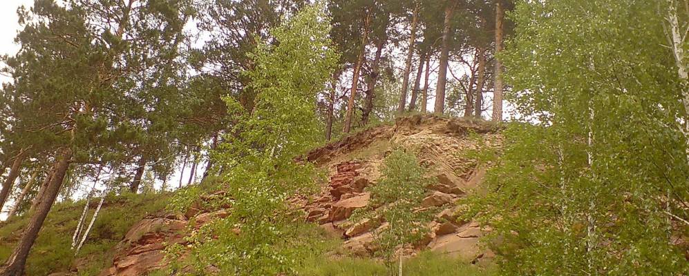 Фотография Шам