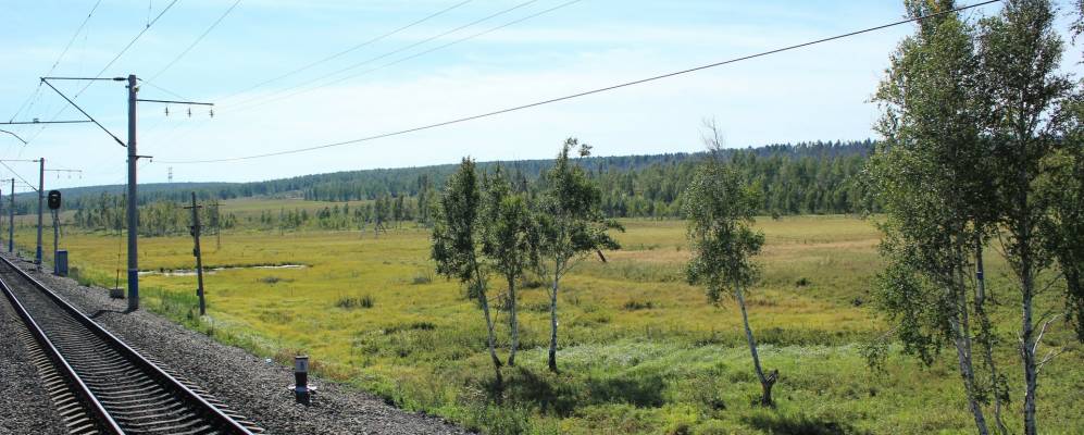 
            Фотография Шульгины