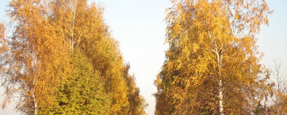 
            Фотография Капустина