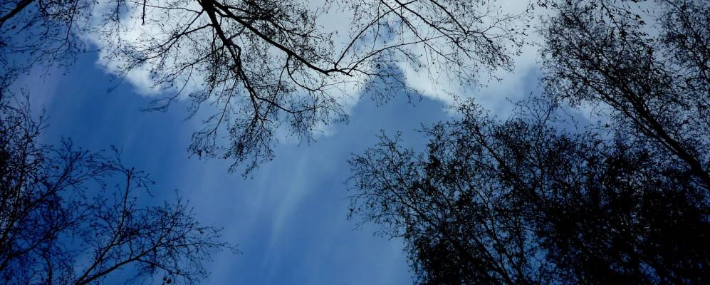 
            Фотография Козловки