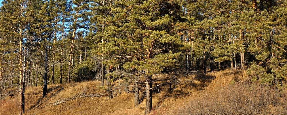 
            Фотография Ключей