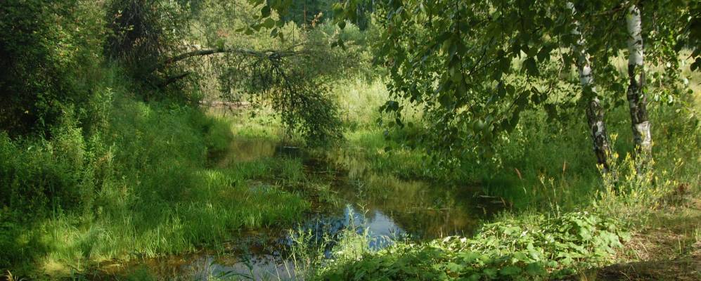 
            Фотография При станции Роза