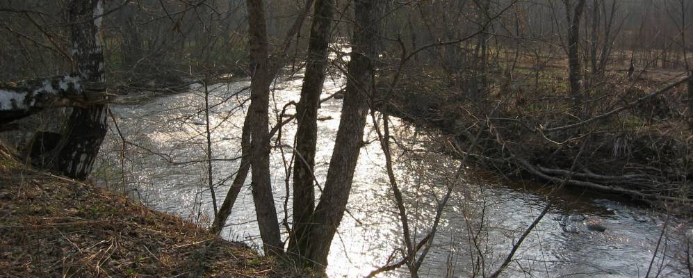 
            Фотография деревни Выселки-Борки