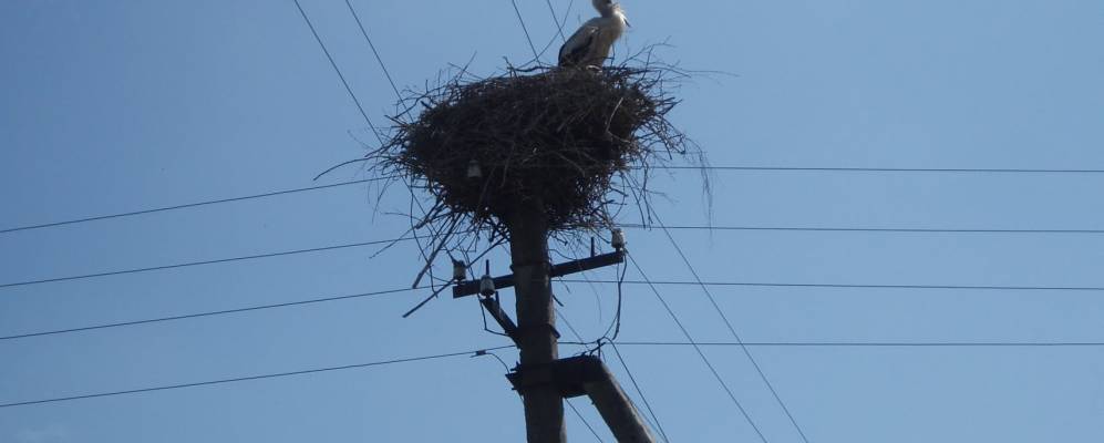 
            Фотография Ском-Горы