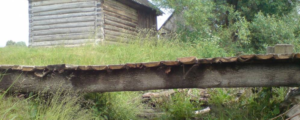 
            Фотография Новосёлок