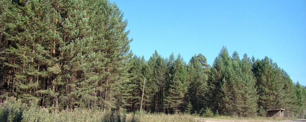 
            Фотография Ук-Бадарановки