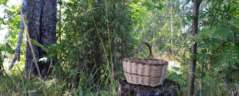 
            Фотография Коноваловых