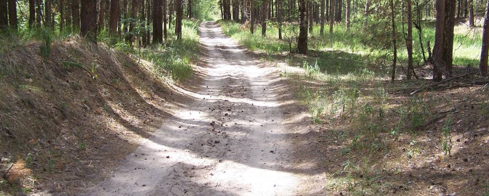 
            Фотография Санского