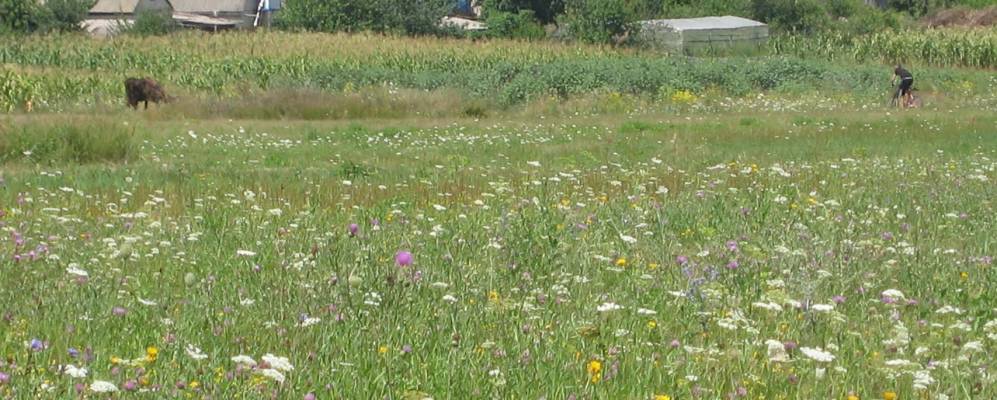 
            Фотография Шульгинки