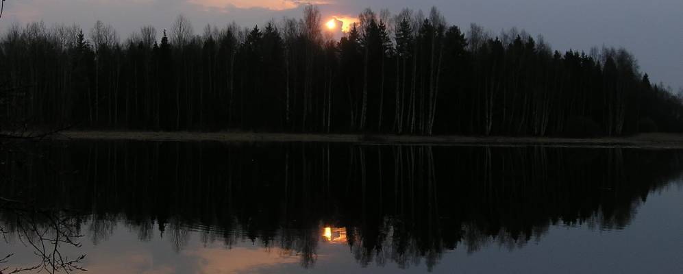 
            Фотография Коняево