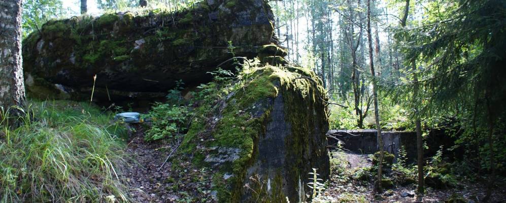 
            Фотография Искры