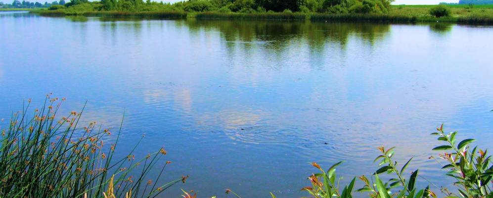 Фотография деревни Клешняки