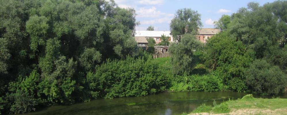 
            Фотография Дачного