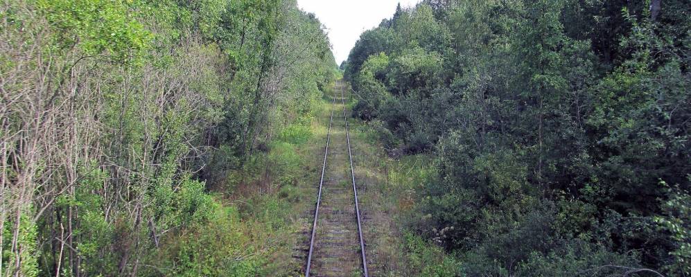 
            Фотография Будково