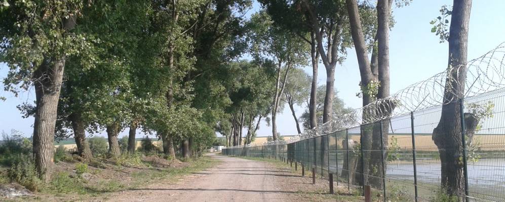 
            Фотография Зарудья