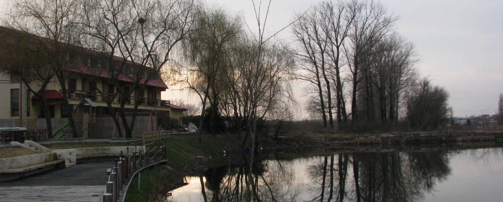 
            Фотография Крайовы