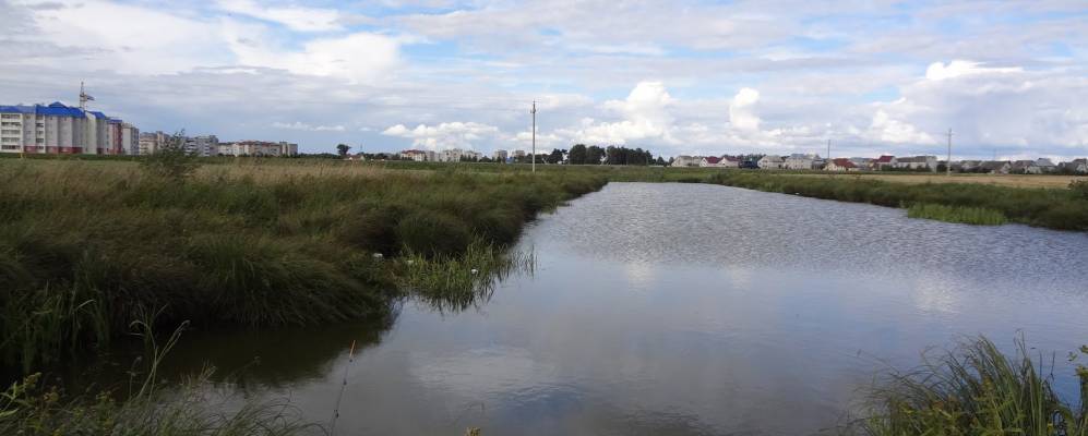 Фотография Буйвичей