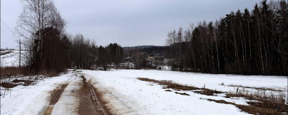 
            Фотография Волковщины