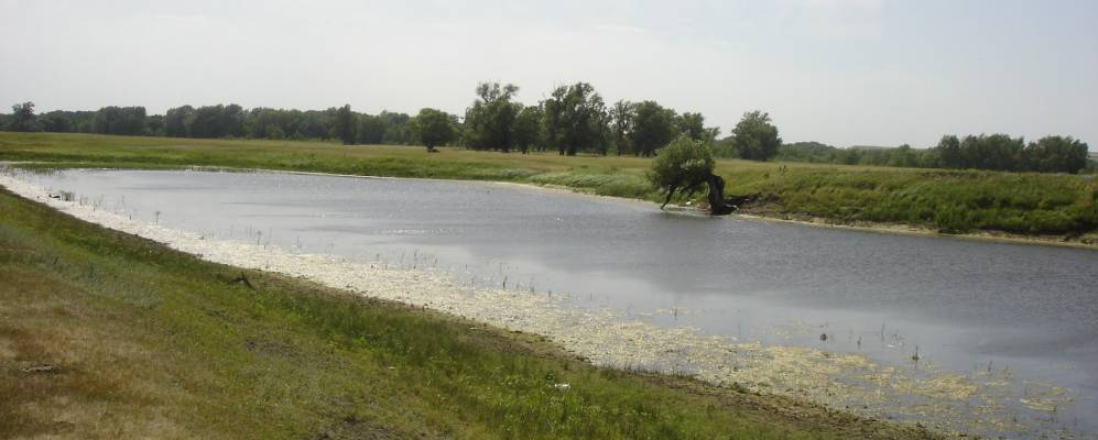
            Фотография Кудиновского