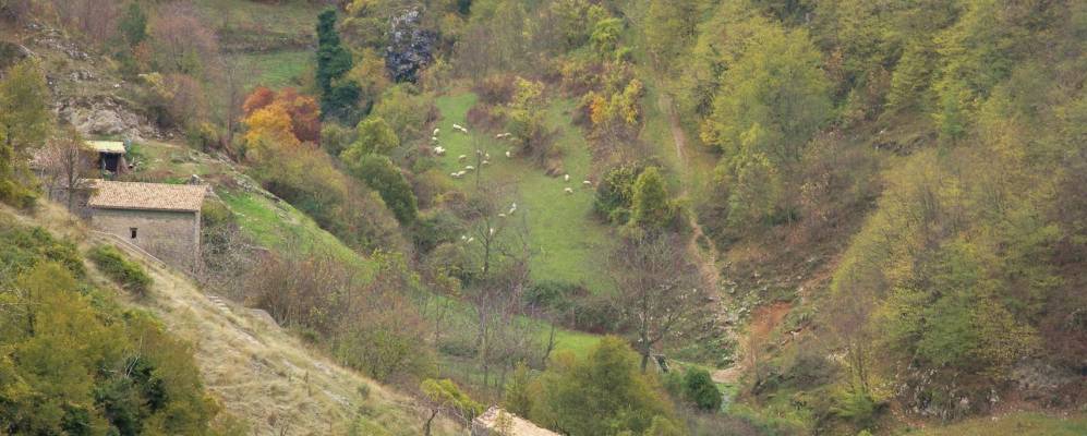 
            Фотография Филеттино