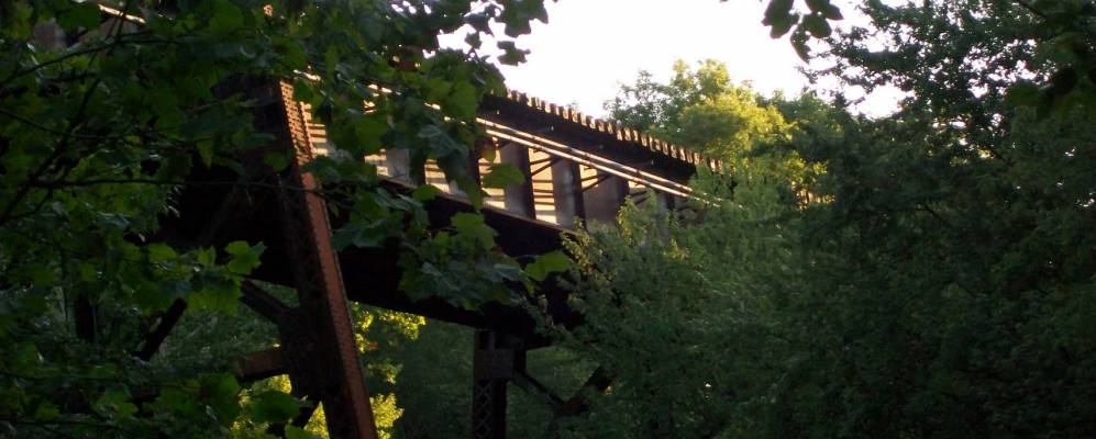 
            Фотография Лейк Дарби