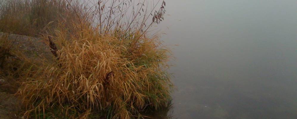 
            Фотография Хомедэйла