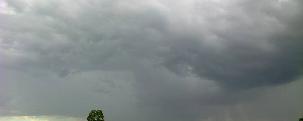 
            Фотография Тросны