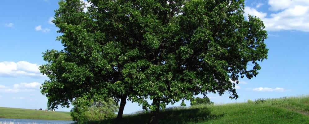 
            Фотография Октябрьского