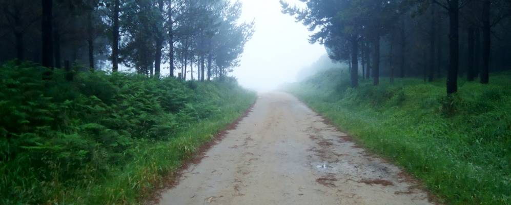 
            Фотография Мухия