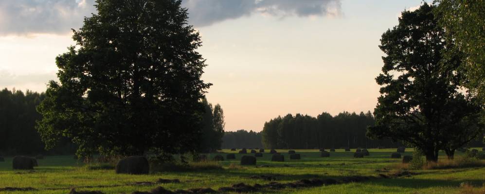 
            Фотография Оболоновца