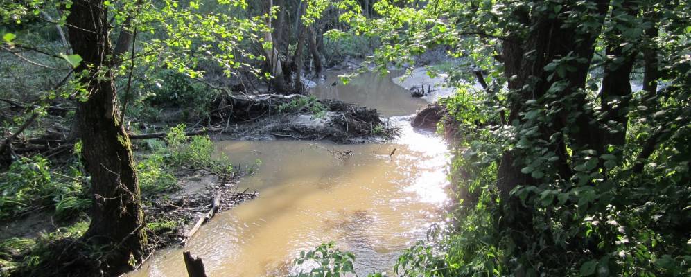 Фотография Большого Савватеево