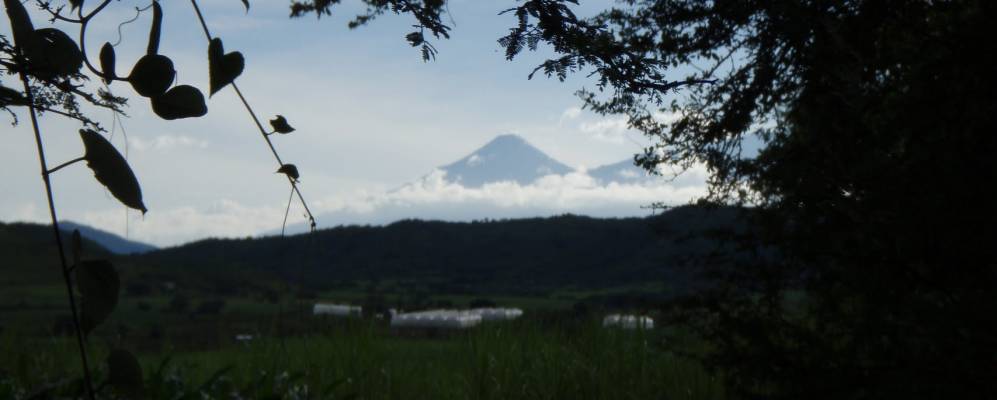 
            Фотография Тамасула де Гордиано