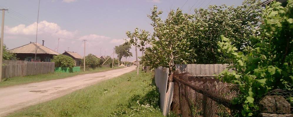 
            Фотография Карасей