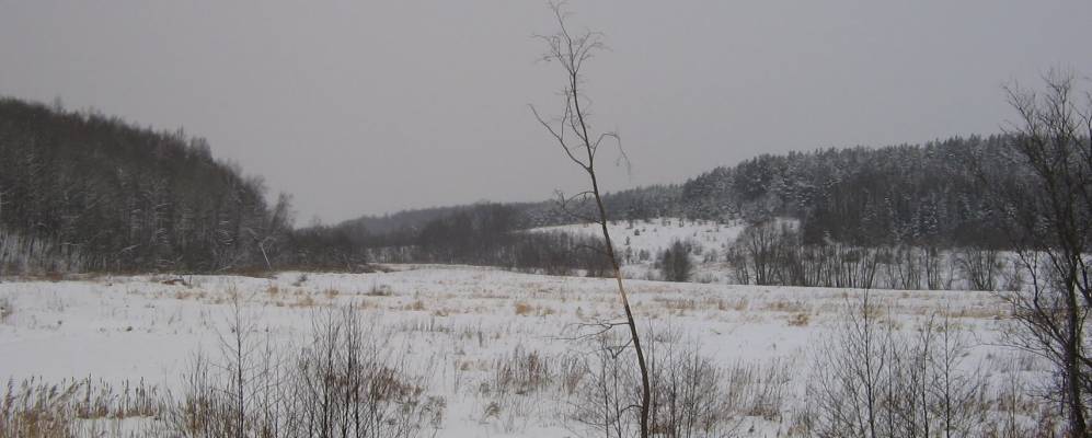 
            Фотография Симизино