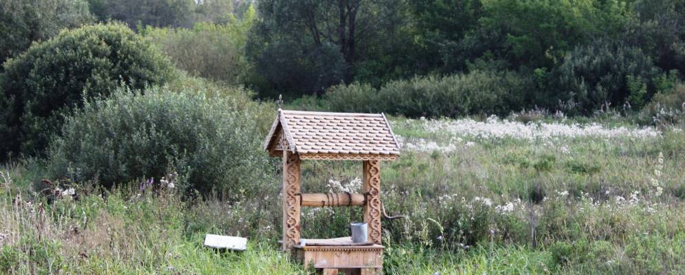 
            Фотография Пеньковки