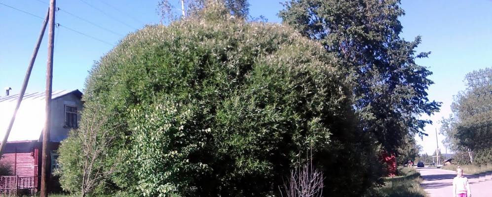 
            Фотография Юловки