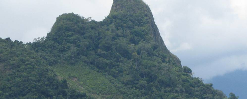 
            Фотография Пауна