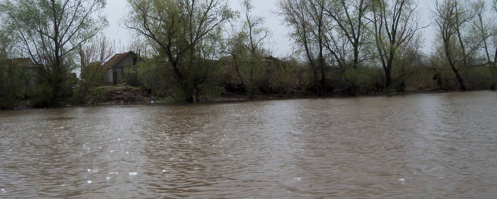 
            Фотография Бурлина