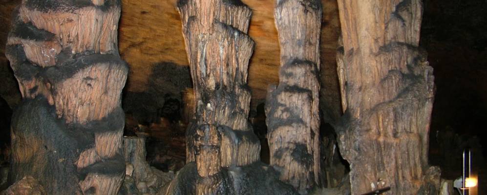 
            Фотография Агтелека