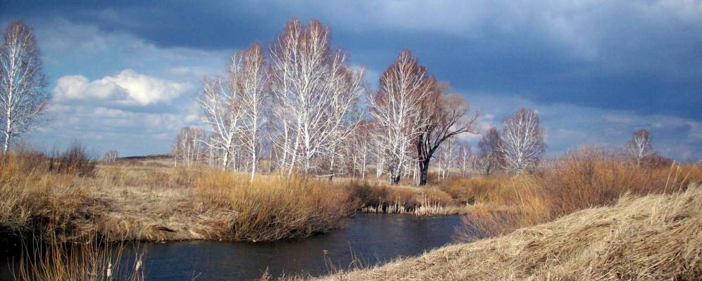 
            Фотография Поляновки