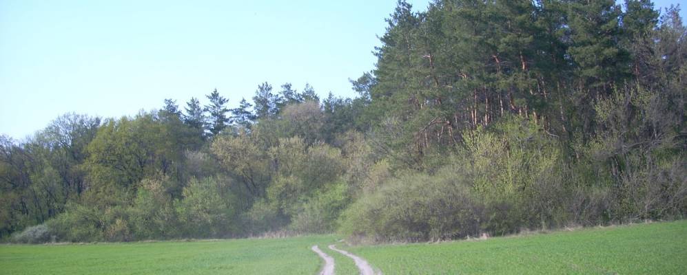 
            Фотография Степановки