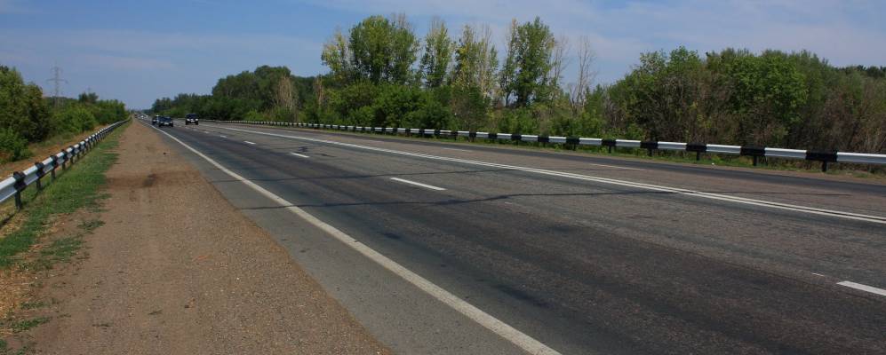 
            Фотография Осинок