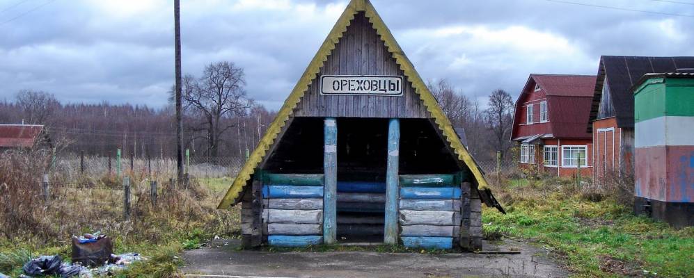 Фотография деревни Ореховцы