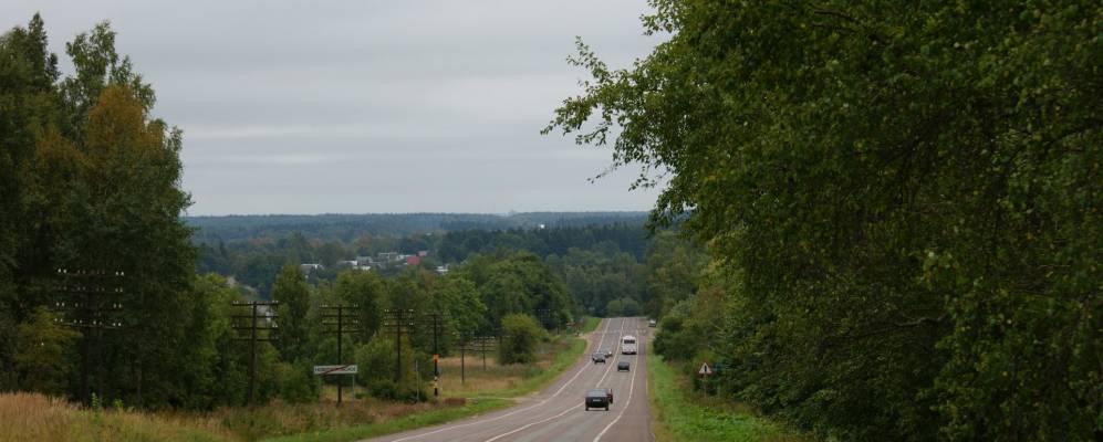 
            Фотография Головино
